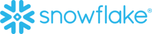 Snowflake Logo